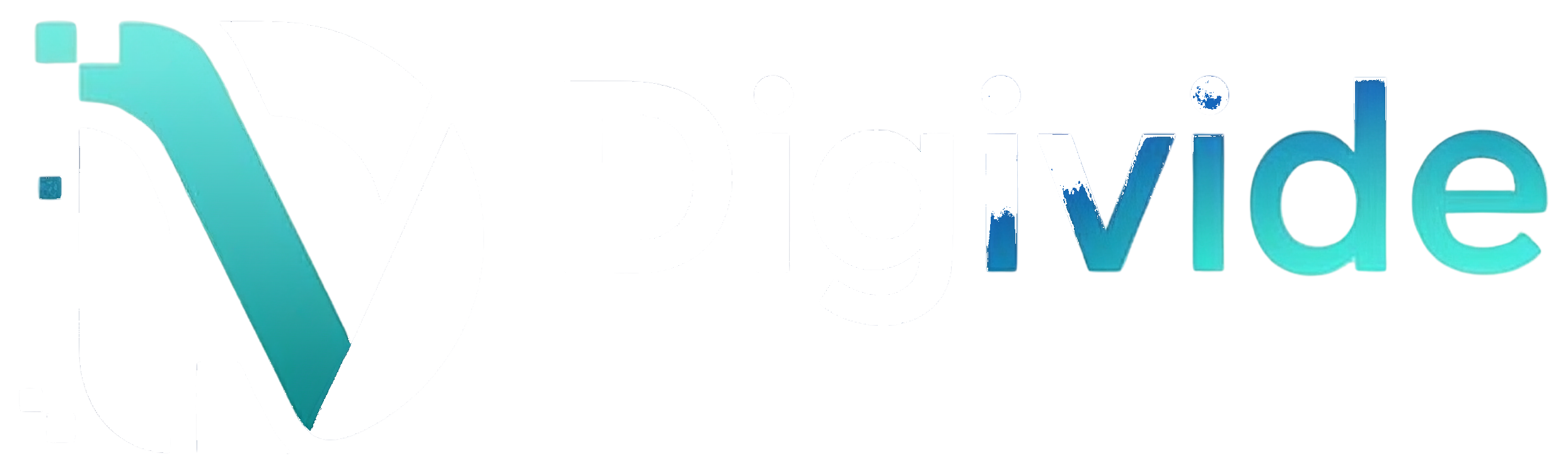 Digivide